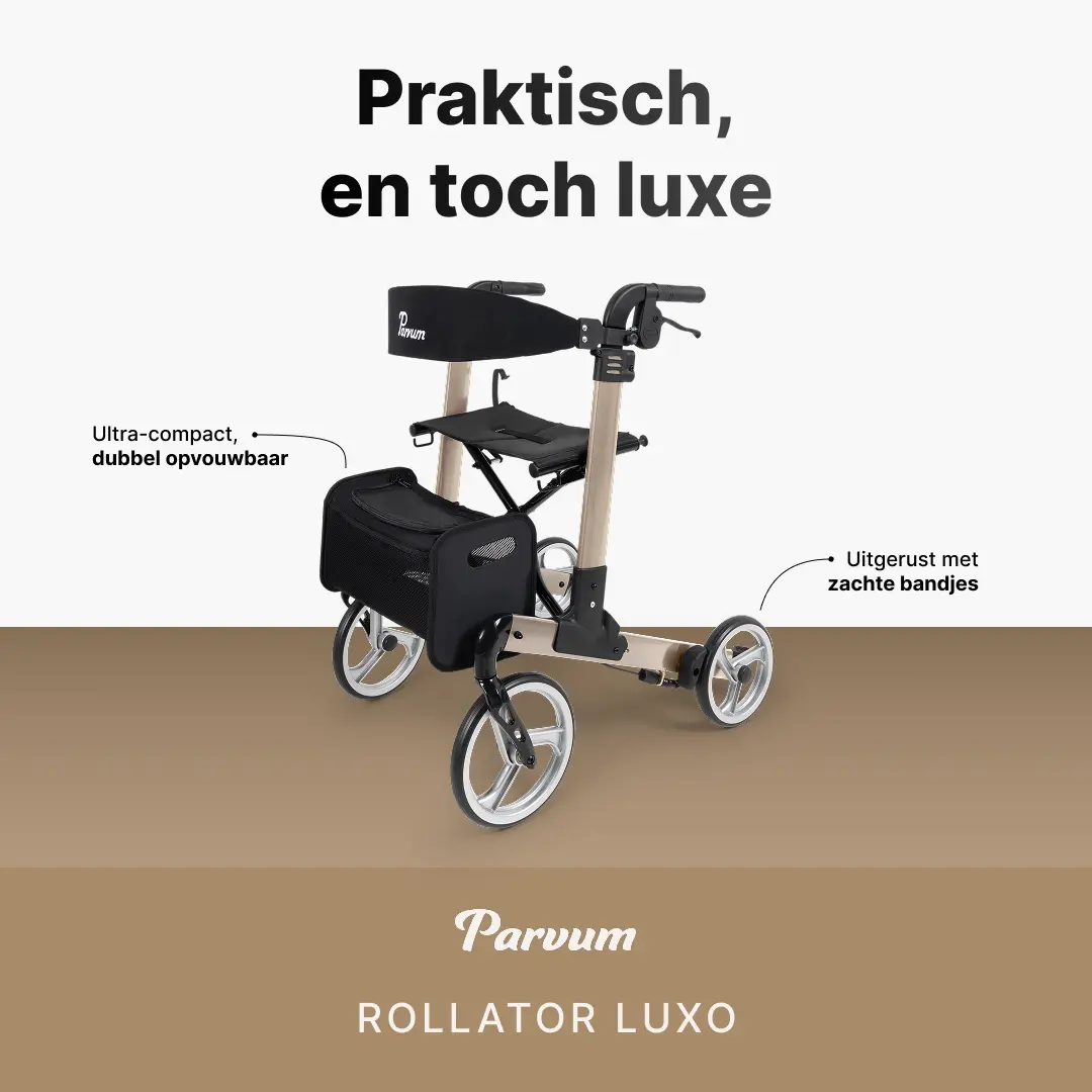 Parvum Luxo champagne large