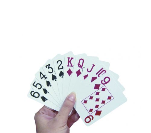 MultiMotion Speelkaarten - met grote afbeeldingen (een hand houd de kaarten vast)